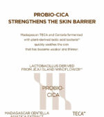 SKIN 1004 Centella Probio-Cica Glow Sun Ampoule SPF 50+ PA+++ 50 ml