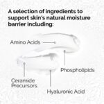 The Ordinary Natural Moisturizing Factors + HA 30ml