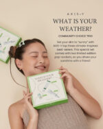 AXIS-Y WHAT IS YOUR WEATHER KIT